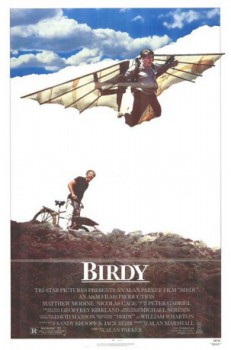 poster Birdy