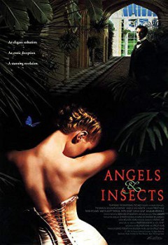 poster Angels and Insects