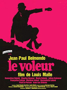 poster Le voleur