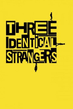 poster Three Identical Strangers